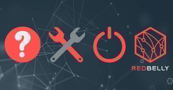 Why Build Blockchain Projects On Redbelly Network?